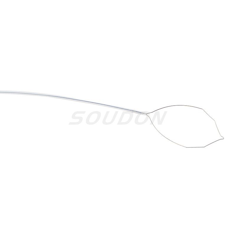 Polypectomy Snares For Olympus